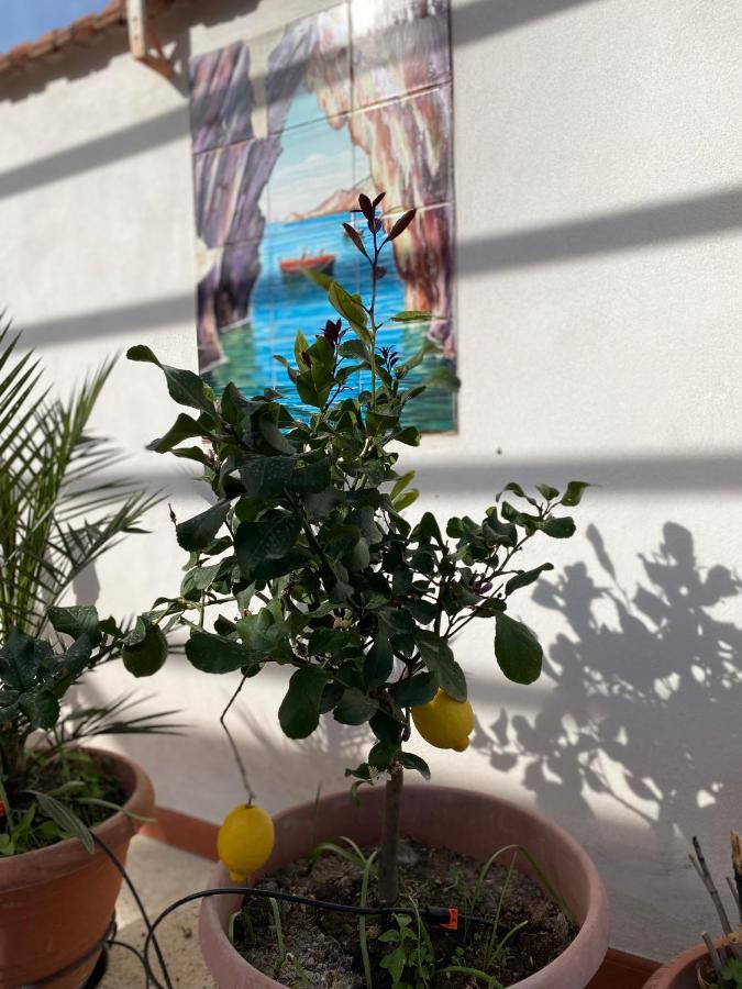 Medusa Exclusive Rooftop Taormina