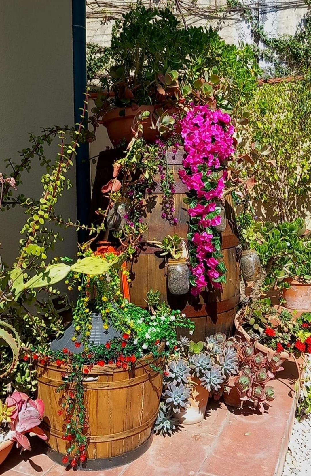Rosangela Bed & Breakfast