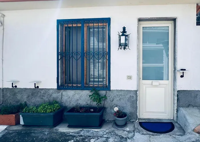 Blue House
