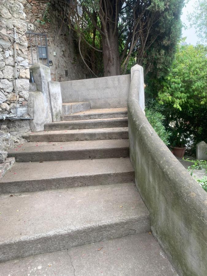 Old Memories House *
