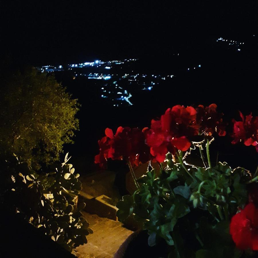 Garden *