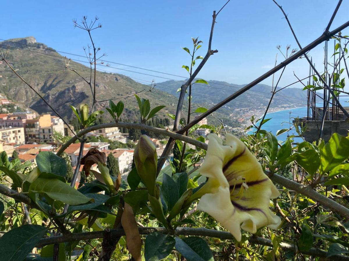 Tauromenium House Appartamento Taormina