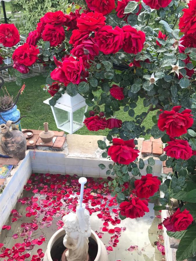 La Capanna Di Giuseppe E Maria Bed & Breakfast Taormina