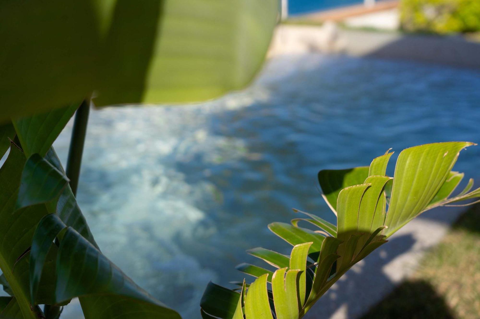 Zagara Garden Spectacular Sea View In