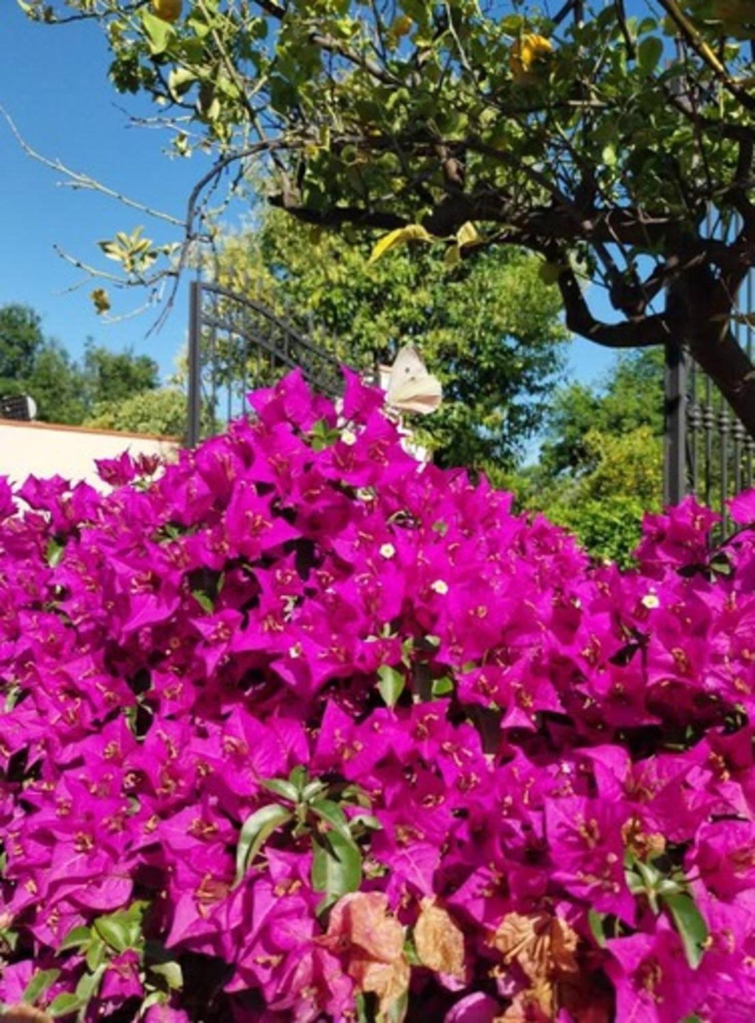 Terrenia Farm stay Taormina