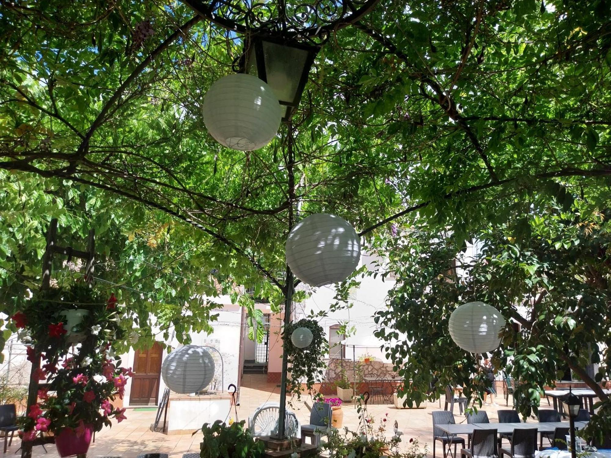 Terrenia Farm stay