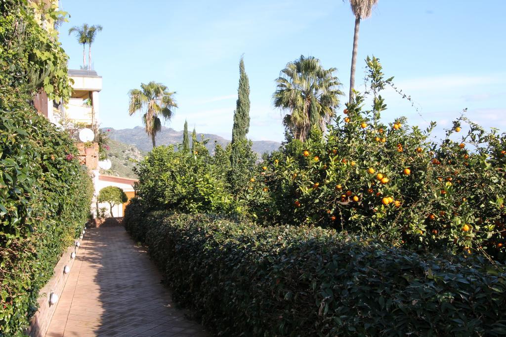 Panoramic - Holidays *