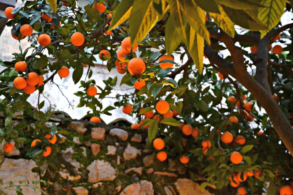 Giardino Del Sole