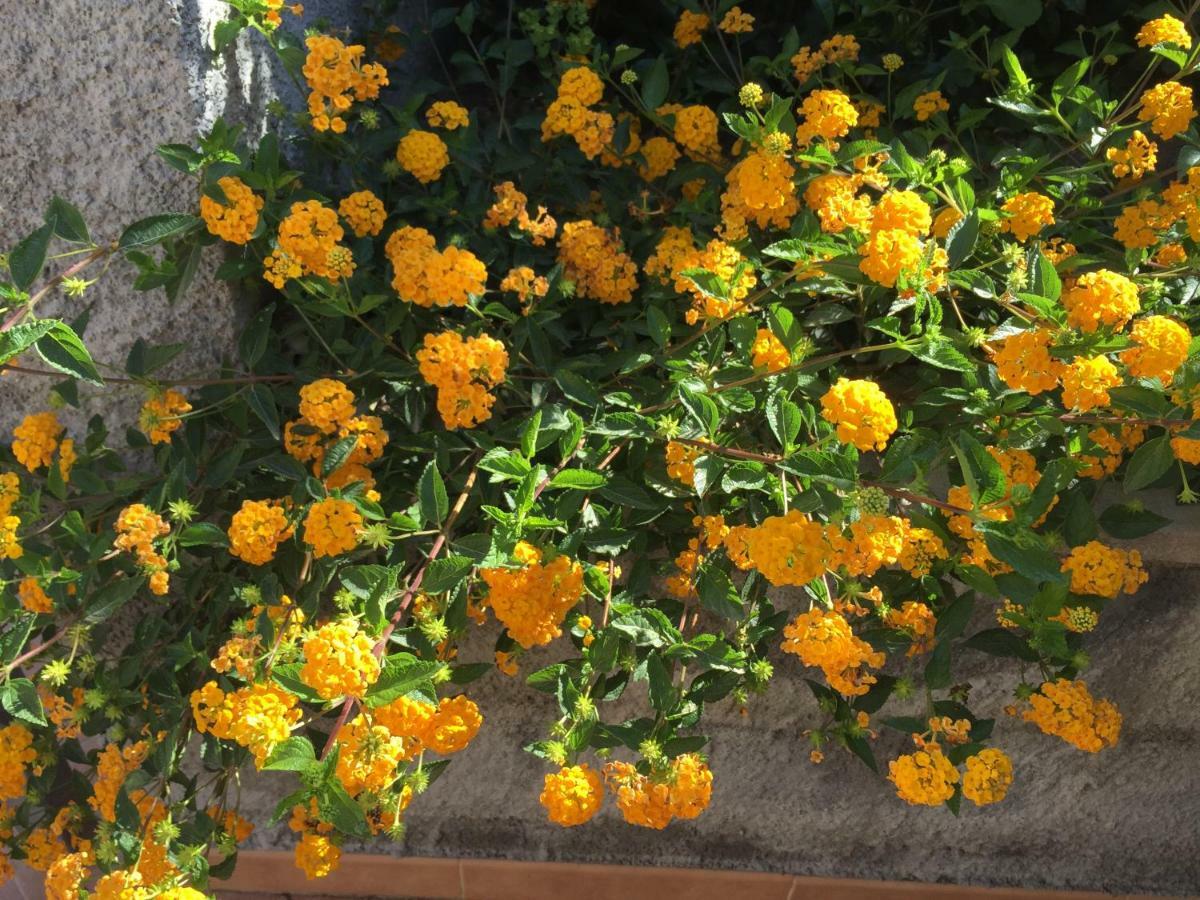 Mastrissa Apartment *