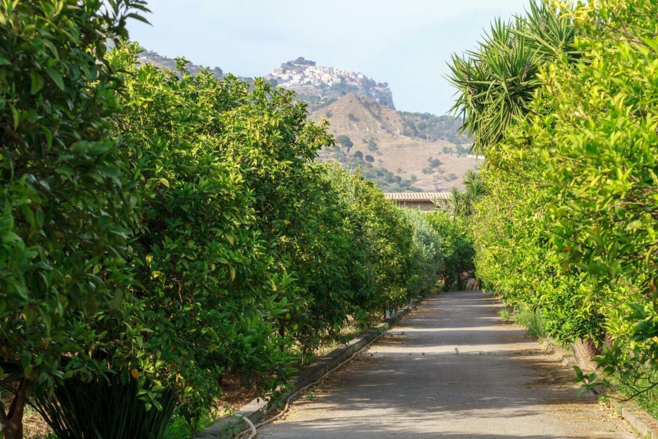 Lumia E Zagara * Taormina