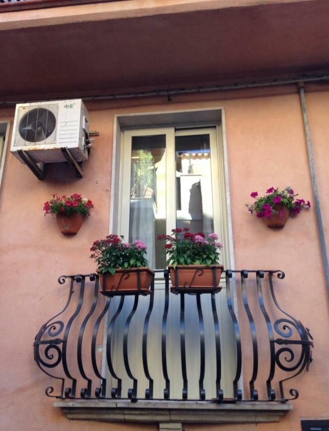 Avaja - Daria's * Taormina