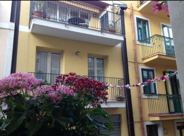 Apartment Avaja - Daria's