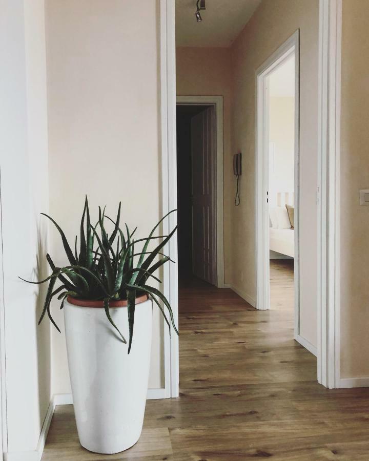 Apartment Taliari *