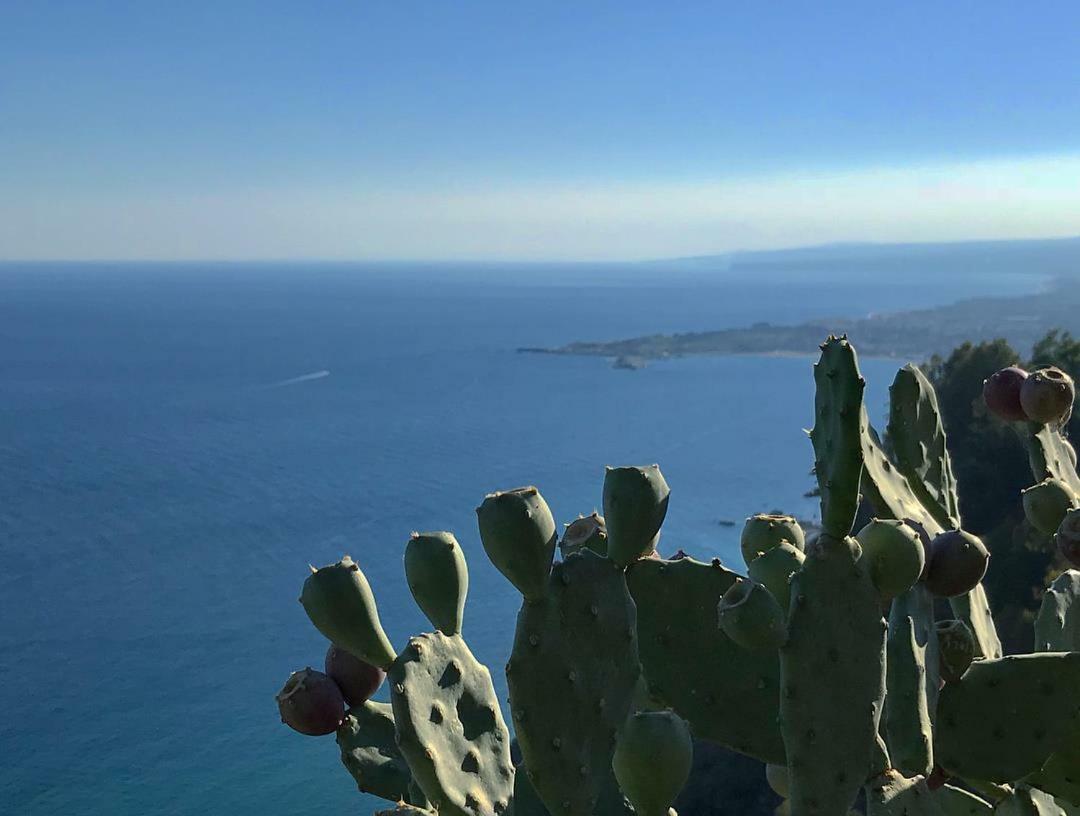 Baia Degli Albatros
