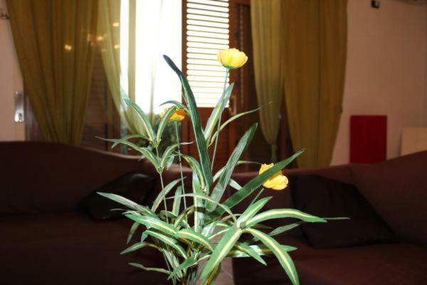Bed & Breakfast Le Nuove Porte Di *