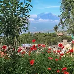Casa Cuseni, Residenza d\'artista, Museo e Giardino storico