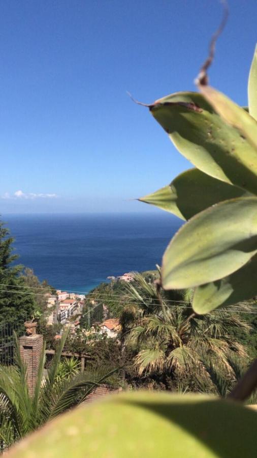 Bed & Breakfast Luxury Terrazze E Vista Mare *