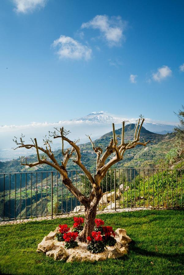 Da Vinci Luxury Panoramic - Collection Appartamento