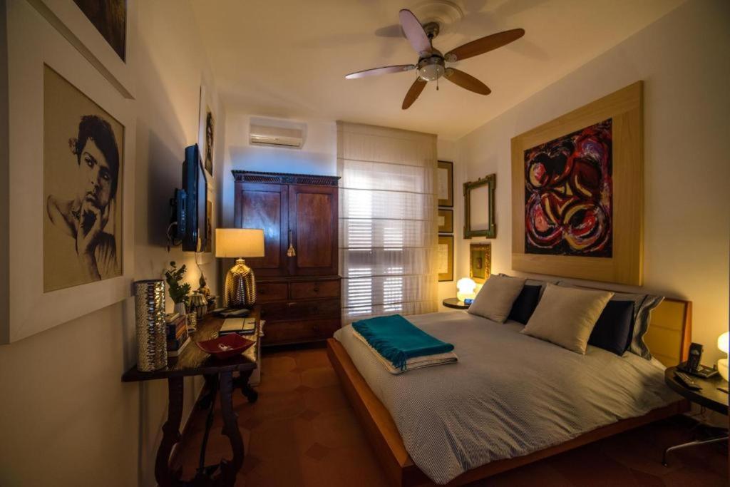 Casa Arico & Shatulle *