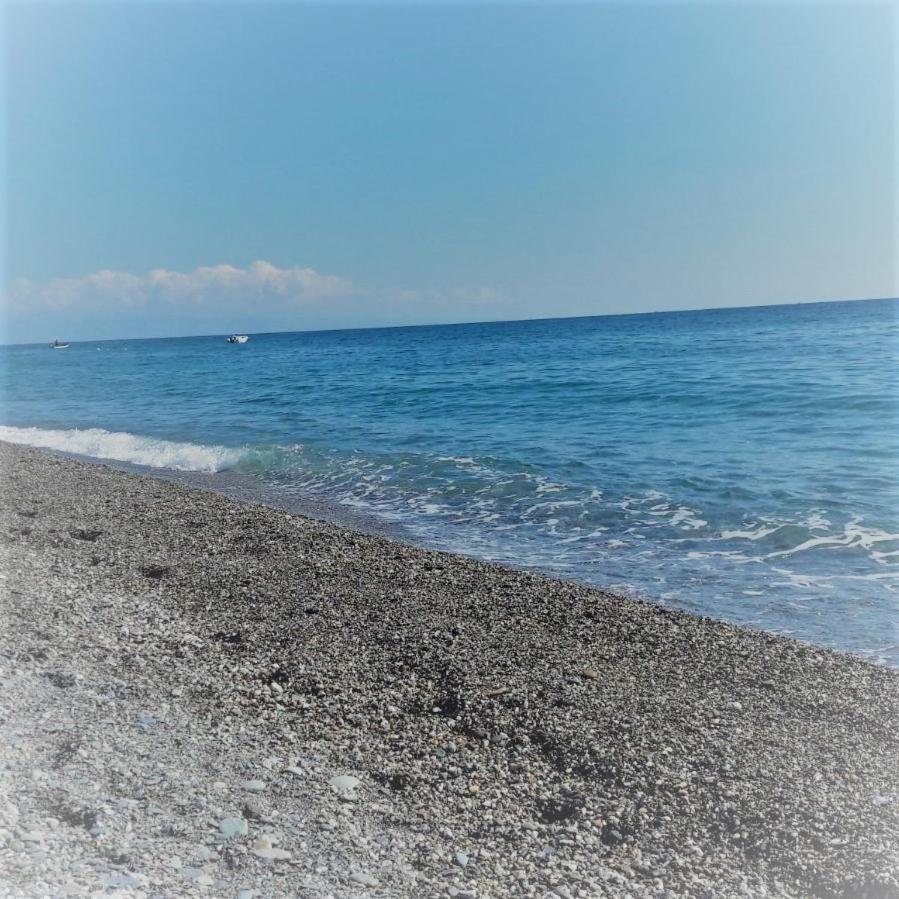 Pina's Tao Sea