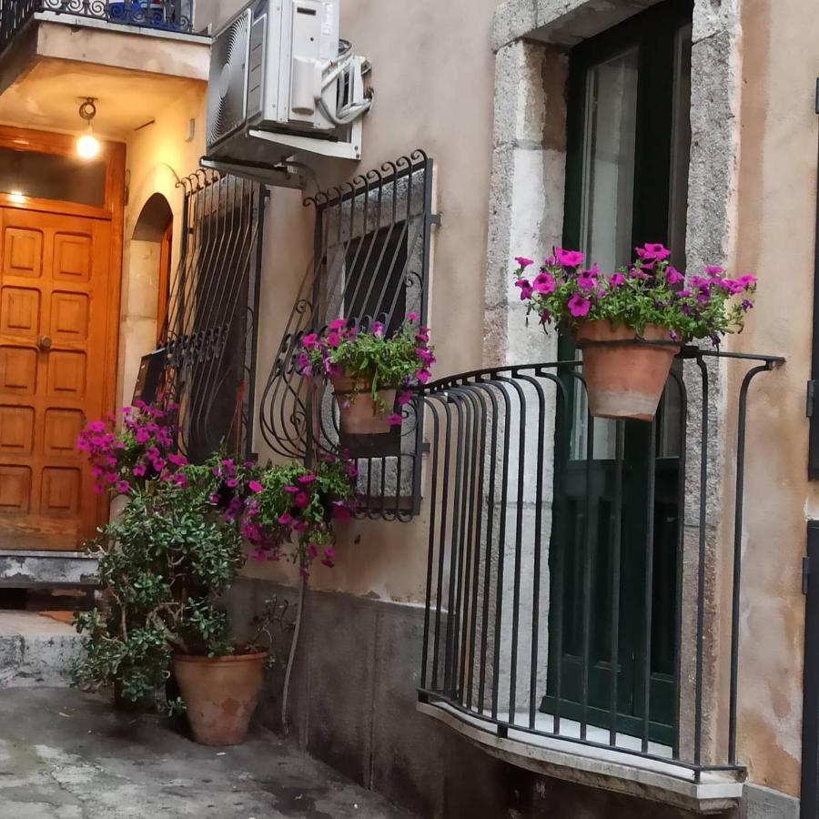 Apartment Casa Tiziana
