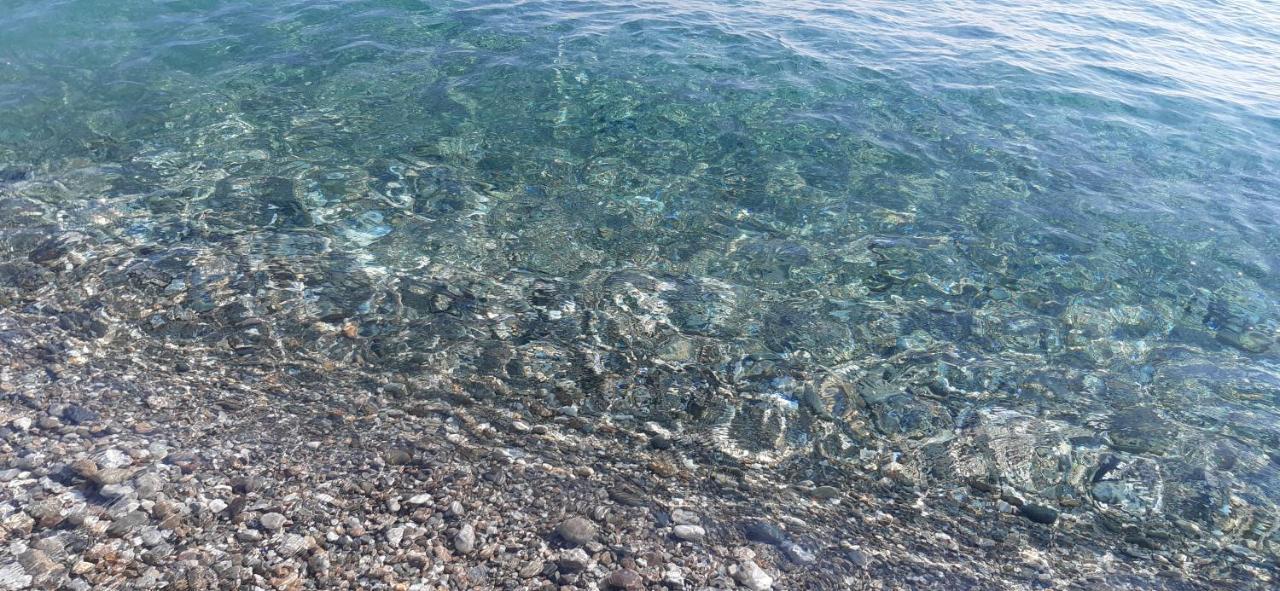 Pina's Tao Sea