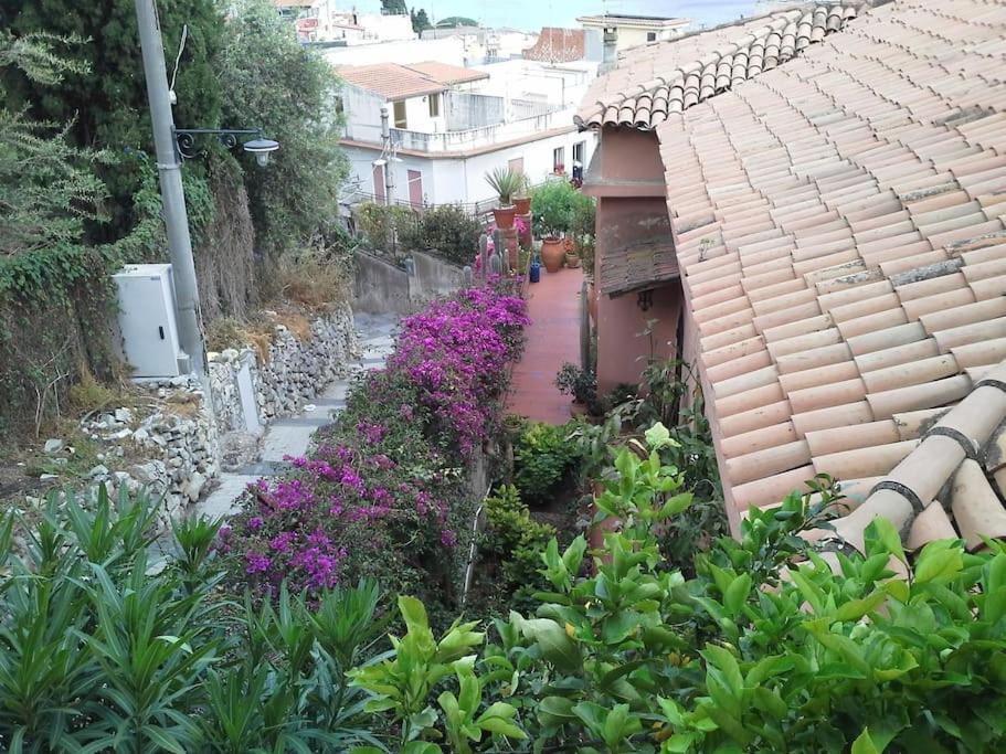 Casa Sarina Apartamento *