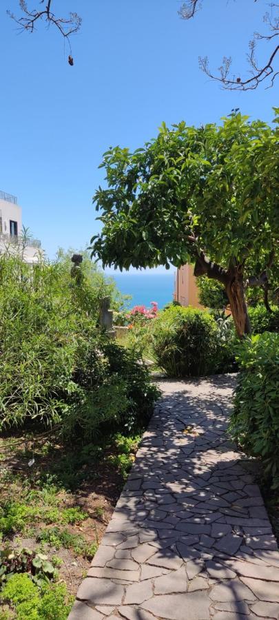 Bed & Breakfast Akropolis *