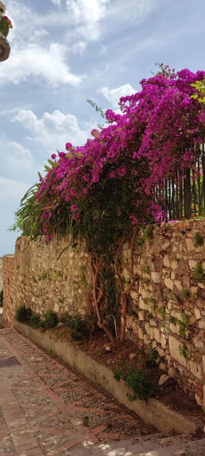 Bed & Breakfast Akropolis