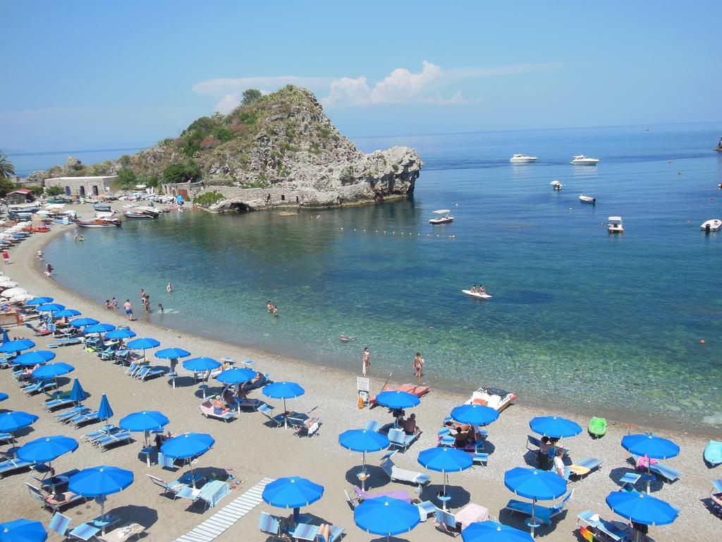 Il Delfino *