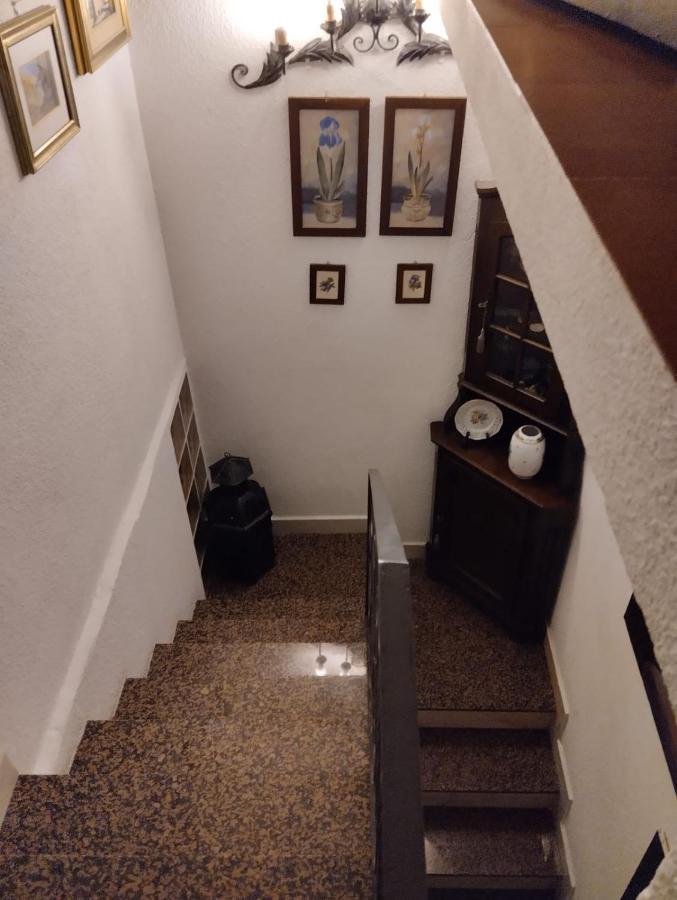 Apartment Piekny Dom *