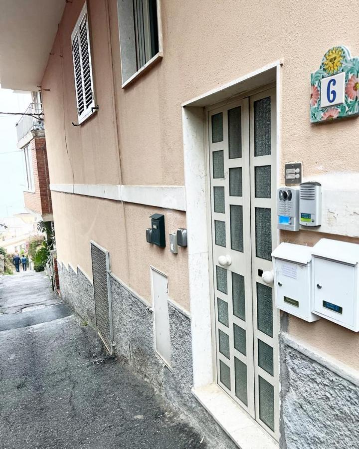 Center, Via Celestino Penna 6 *