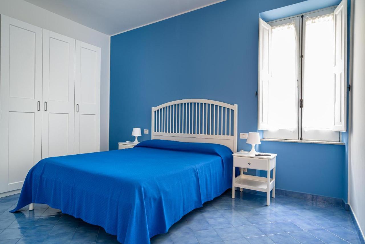 Blue Carlotta