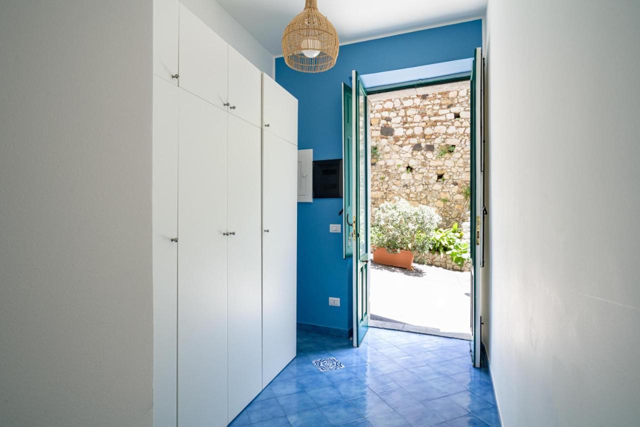 Blue Carlotta