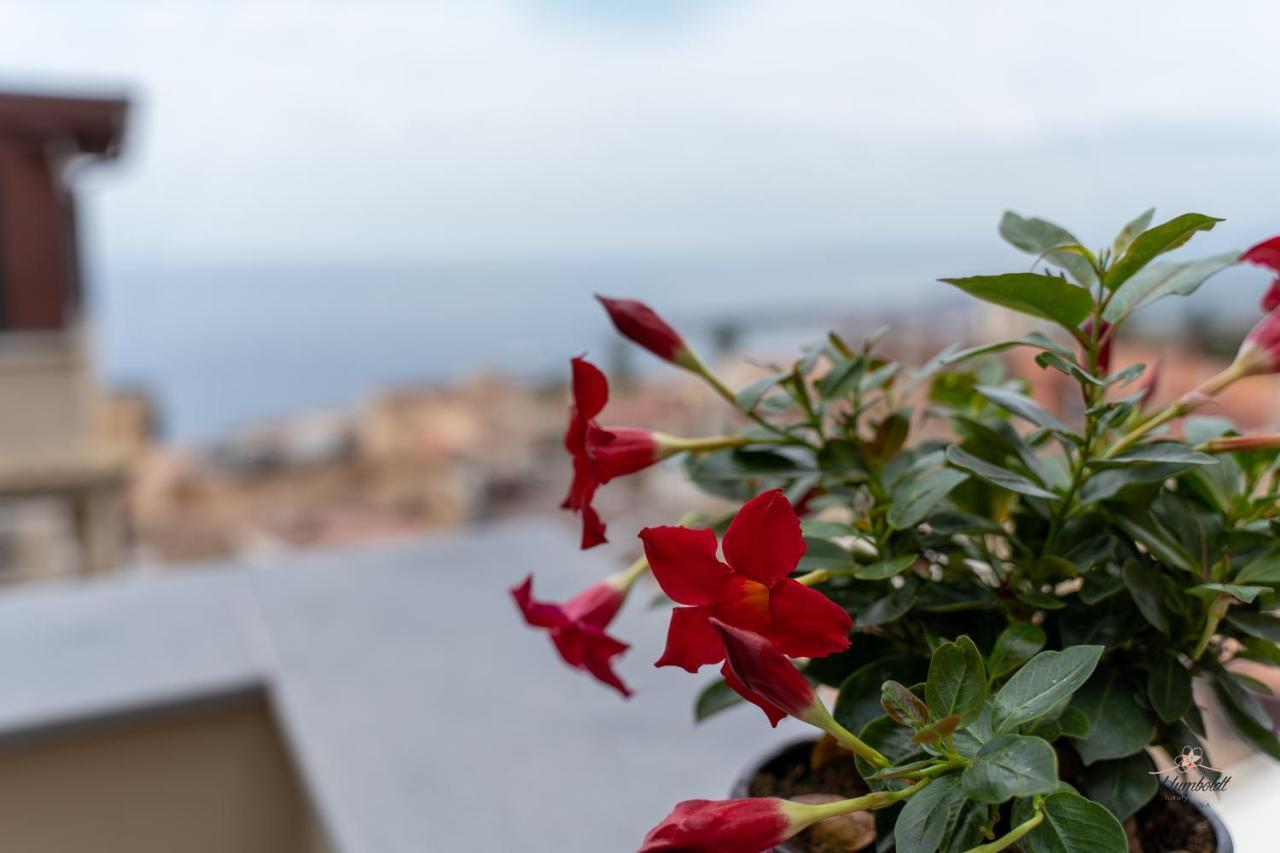 Guest house Humboldt Luxury *