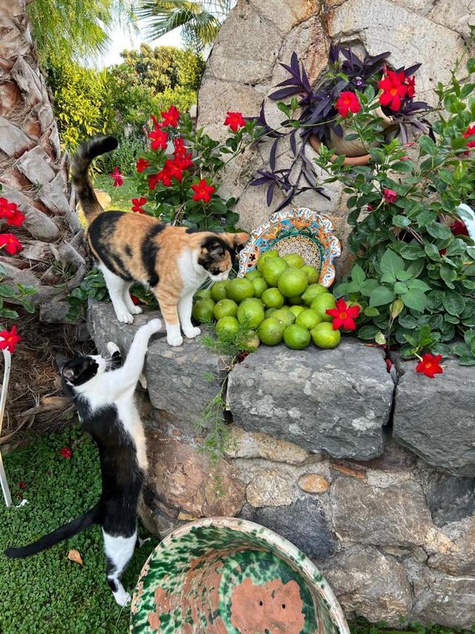 Acomodação com café da manhã  La Capanna Di Giuseppe E Maria Taormina