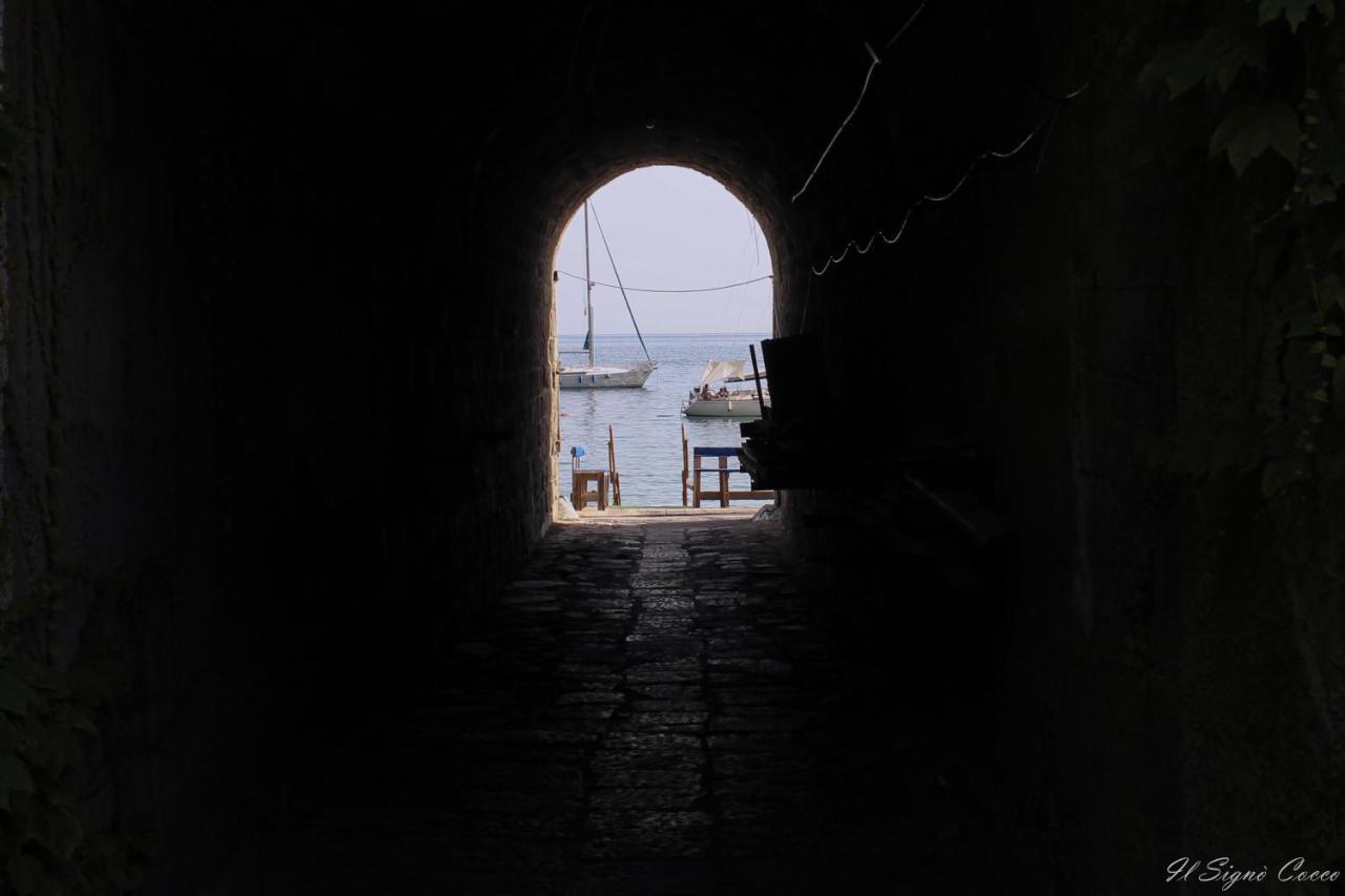 Il Signo Cocco Mare
