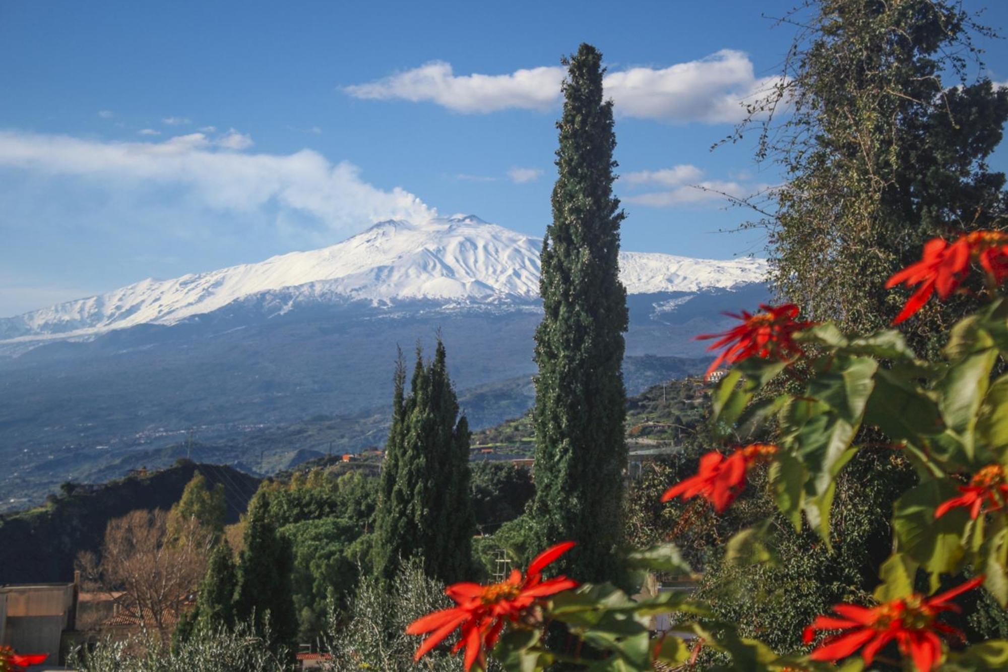 Bed & Breakfast Casa Cuseni, Residenza D'artista, Museo E Giardino Storico 3*