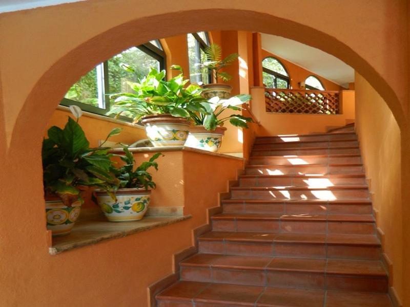 Bed & Breakfast Antelima