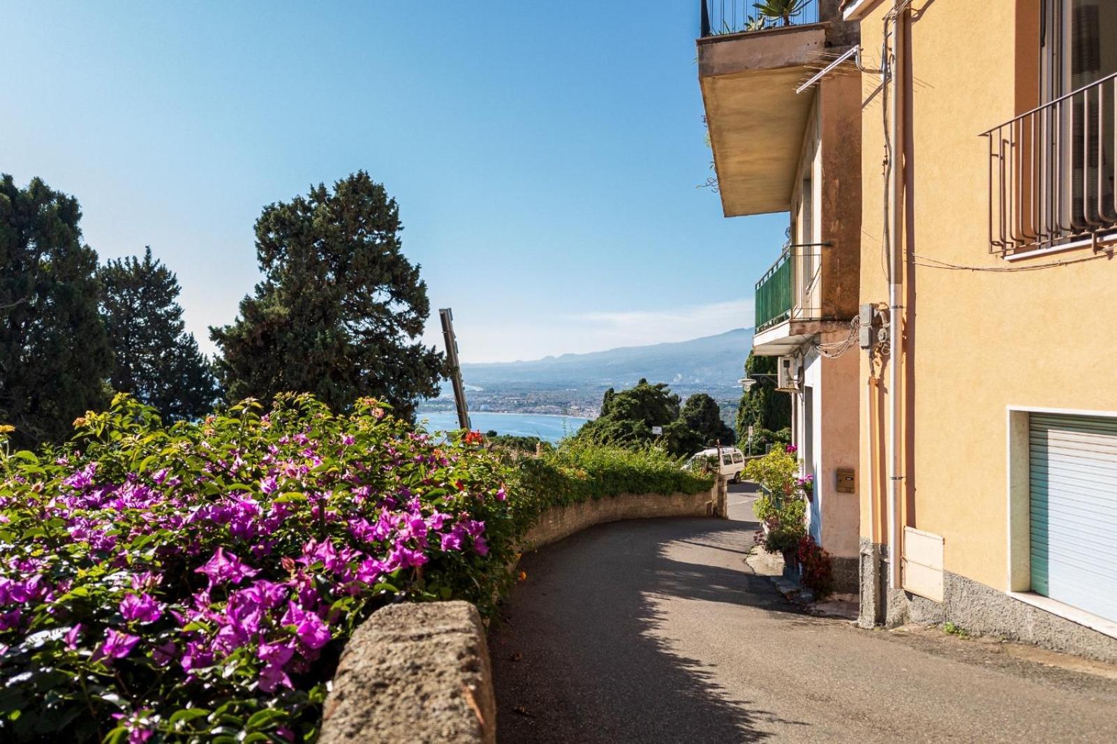 Flower * Taormina