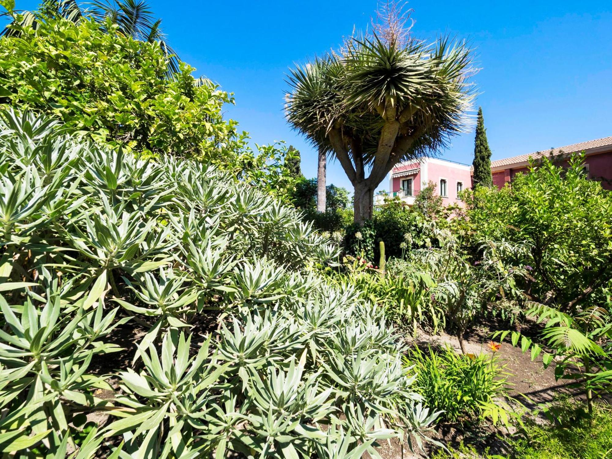 Schuler Center Garden In Self-catering Villa *
