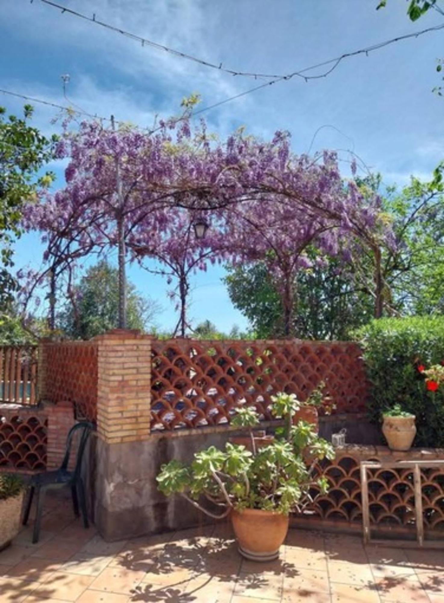Terrenia Taormina
