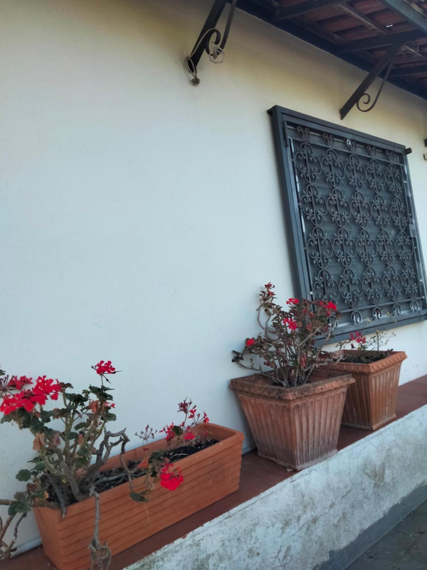 Etna View Letizia A Holiday home *