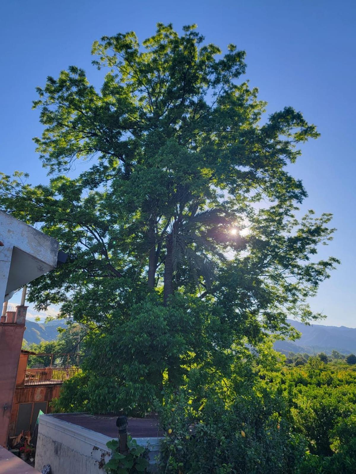 Holiday home Etna View Letizia A *
