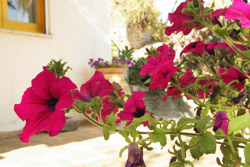 Villaggio Placido Holiday home *