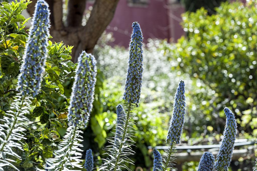 Schuler Center Garden In Self-catering