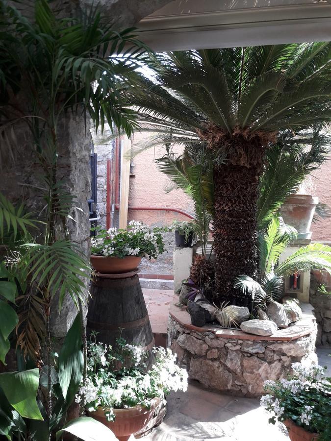 Andromaco Palace Hotel 3*