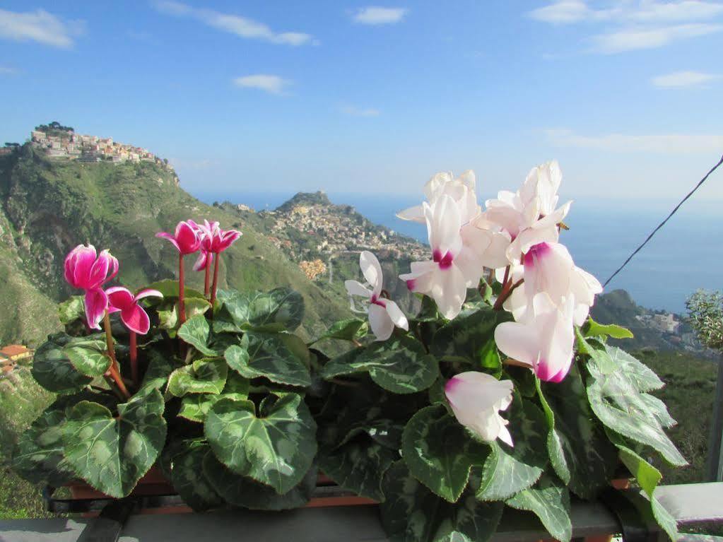 Il Casale Di Caterina 4*
