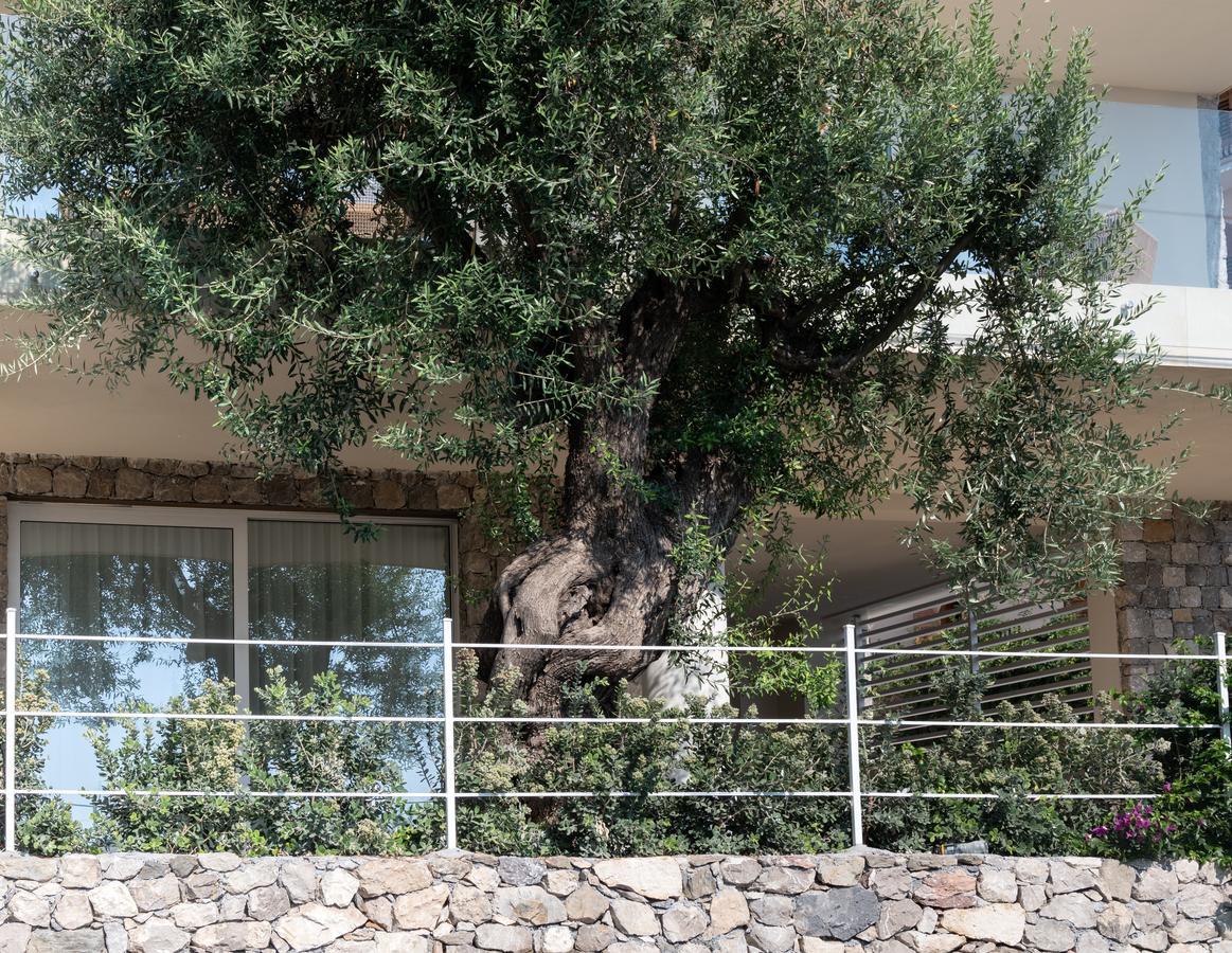 Aparthotel Iancu Charme