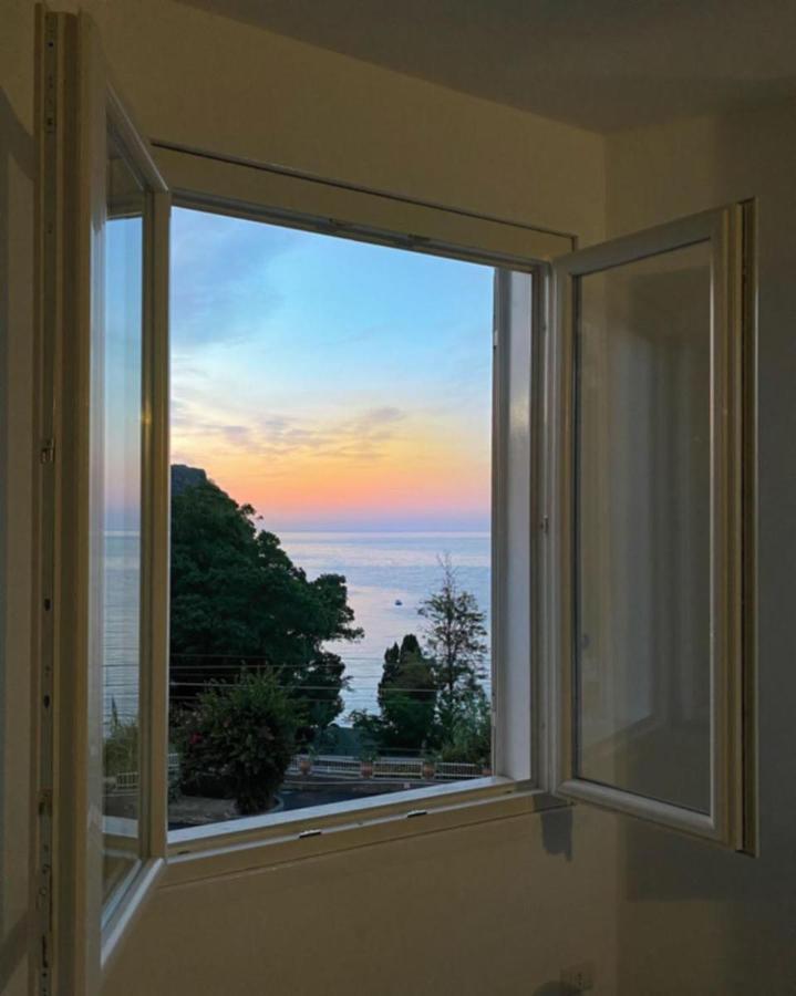 Paradisea Guillhome * Taormina